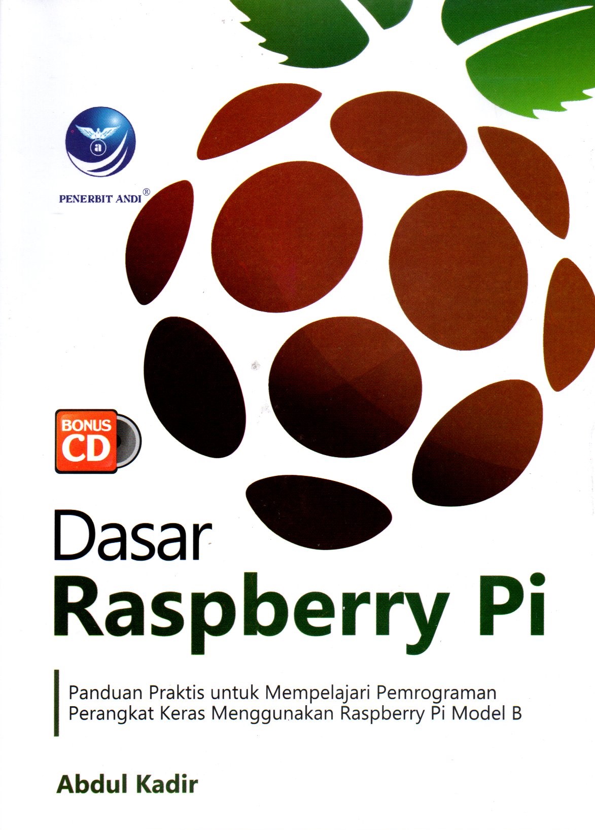 Dasar Raspberry Pi: Panduan praktis untuk mempelajari pemrograman perangkat keras menggunakan raspberry pi model B