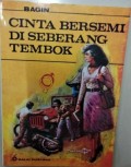 Cinta Bersemi Diseberang Tembok