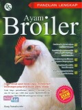 Ayam Broiler