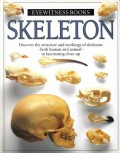 Skeleton