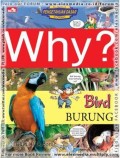 Why?: Burung (Bird)