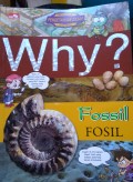 Why?: Fosil (Fossil)